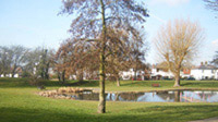 Barnet